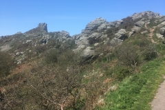 C. Tickner: Valley of Rocks