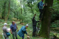 Bird Nest checking September 2021