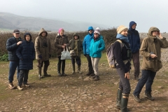 Walk at Bossington February 2022