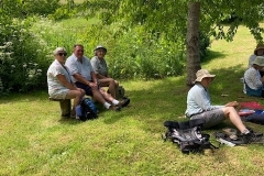 Plant Survey, June 2021: C. Tickner