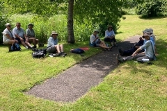 Plant Survey, June 2021: C. Tickner