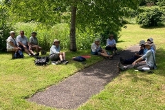 Plant Survey, June 2021: C. Tickner