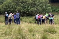 Walk from Simonsbath July 2022. Photo C. Tickner