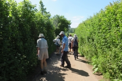 Plant Suvey, Piles Mill June 2021: Martina Slater