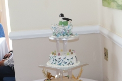 50th Anniversary of the Exmoor Natural History Society, cake made by S. Parry.
