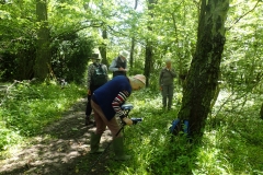 Great Wood Plant Survey Summer 2021: Martina Slater
