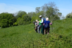 Top of Maple Ridge Field: Summer 2021 Plant Survey: Martina Slater