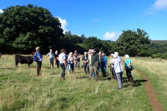 Horner Farm visit with Dexter cattle. Photo M Slater.