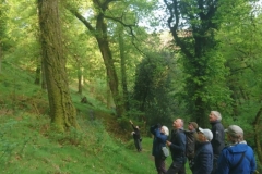 Dawn Chorus May 2022 at Webbers Post: Photos Martina Slater