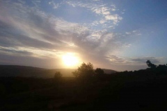 Dawn Chorus May 2022 at Webbers Post: Photos Martina Slater
