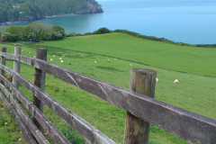 Exmoor Views
