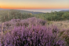 Exmoor sunset August 2022: Photo with thanks from Greta Gardner