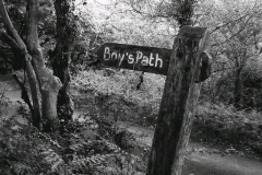 Boy
