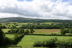 Ian Hart:  towards Dunkery