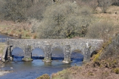 Lanacre Bridge: Ian Hart