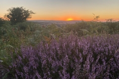 Exmoor sunset August 2022: Photo with thanks from Greta Gardner