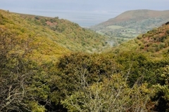 Bossington Hill from Cloutsham@lan Hart