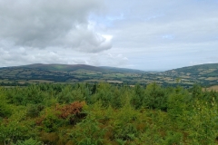 Croydon Hill Vista by S. Parry with thanks