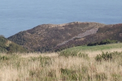 Sian Parry: looking towards Hurlestone Point and the sea
