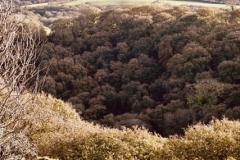 Dunkery Beacon from Pool wood@lan Hart