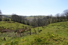 Sherdon Farm view: lan Hart