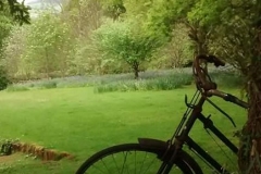 Sian Parry: Bicycle at Luckbarrow