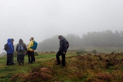 Martina Slater: Valley of Rocks ENHS outing  2019