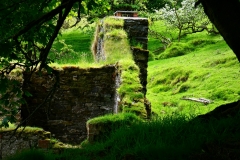 Hoare Oak Cottage from Brian Ellis