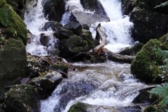 Waterfall at Horner Water@lan Hart