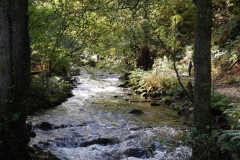 Horner Water @lan Hart