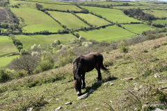 Cosgate Hill near Malmsmead by Brian Ellis
