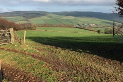 C. Tickner: Above Luxborough