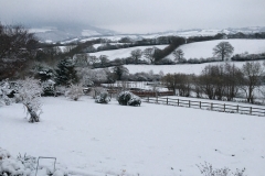 C. Tickner:  Wootton Courtenay in snow