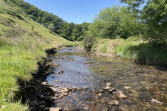 River Exe near Rams Combe by Brian Ellis summer 2026