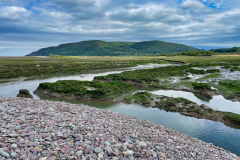 Porlock Marsh by Brian Ellis
