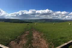 C. Tickner: Above Selworthy