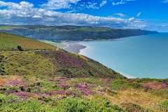 Porlock Bay from the realigned coast path near Hurlstone Point: Photo by Brian Ellis.