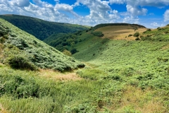 Towards the East Lyn from the Dew Pond, Countisbury. Photo by Brian Ellis.
