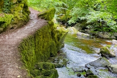 East Lyn just below Watersmeet: Photo by Brian Ellis.