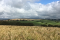 C.Tickner: Exmoor, above Whithypool