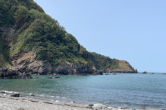 Lee Bay by Brian Ellis