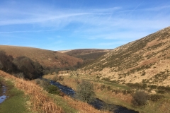 C.Tickner: River Barle below Simonsbath