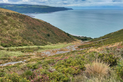 Hurlstone Coombe by Brian Ellis
