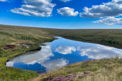 Pinkery Pond by B Ellis