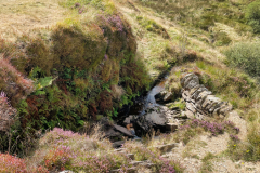 The Barle Valley after the river emerges from Pinkery Pond by Brian Ellis