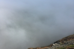 C. Tickner: Valley of Rocks