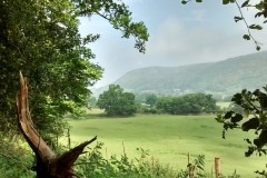 Sian Parry: Alcombe Marshes