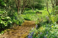 Views of the garden at ENHS HQ, by S. Parry with thanks.