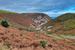  Foreland Point by Brian Ellis