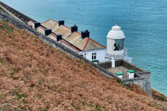Foreland by Brian Ellis